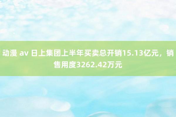 动漫 av 日上集团上半年买卖总开销15.13亿元，销售用度3262.42万元