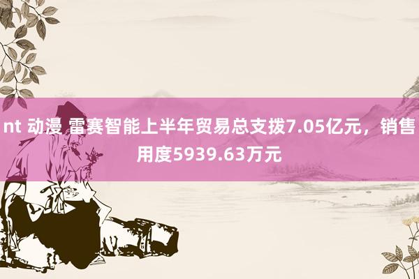 nt 动漫 雷赛智能上半年贸易总支拨7.05亿元，销售用度5939.63万元