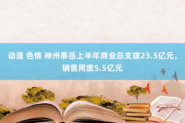 动漫 色情 神州泰岳上半年商业总支拨23.5亿元，销售用度5.5亿元