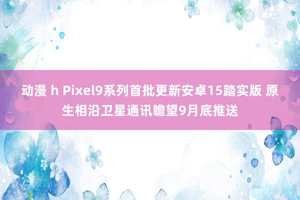 动漫 h Pixel9系列首批更新安卓15踏实版 原生相沿卫星通讯瞻望9月底推送