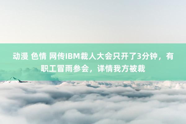 动漫 色情 网传IBM裁人大会只开了3分钟，有职工冒雨参会，详情我方被裁